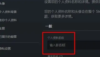 steam账号名字怎么改