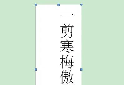 word竖排文字设置居中教程